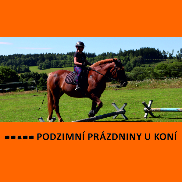 PODZIMNÍ PRÁZDNINY U KONÍ