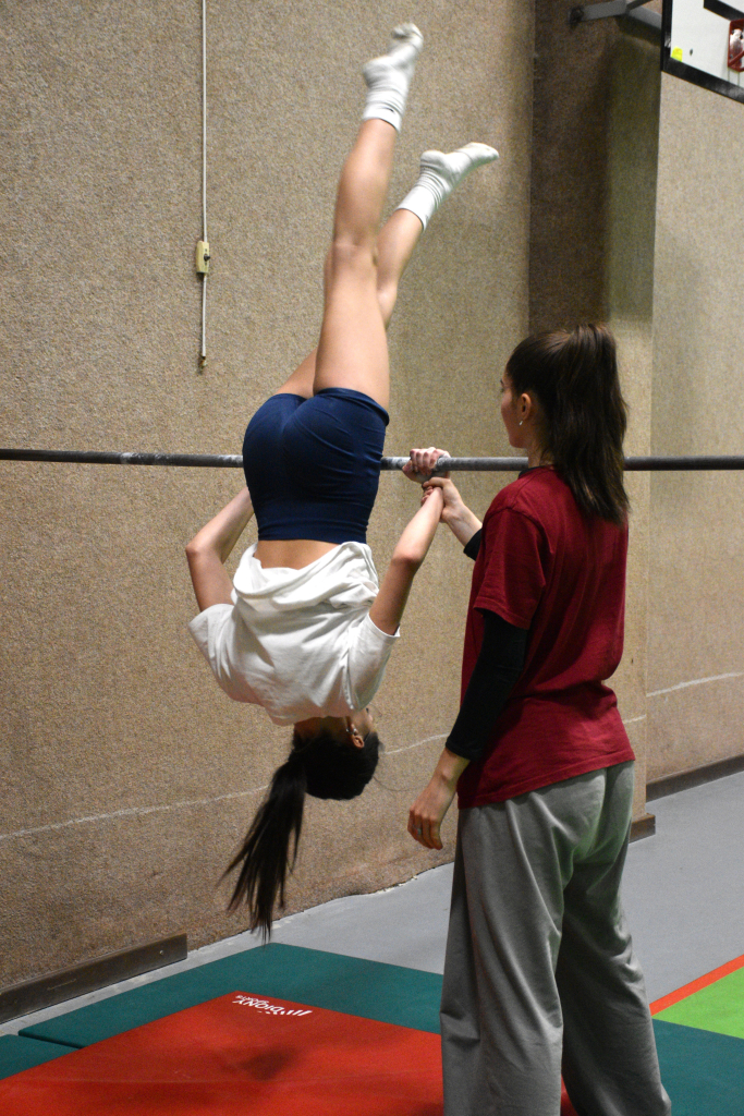 DSC_0479.JPG