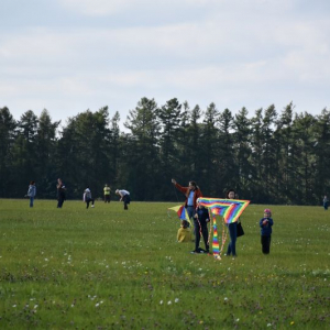 DSC_0203.JPG