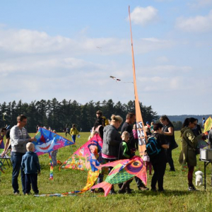 DSC_0222.JPG