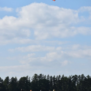 DSC_0246.JPG