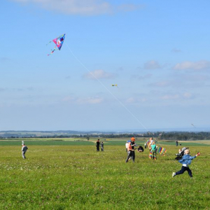 DSC_0247.JPG
