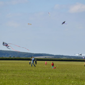 DSC_0253.JPG
