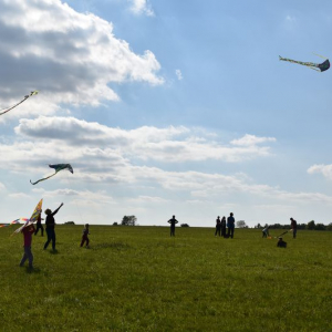 DSC_0262.JPG