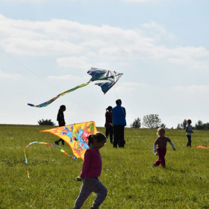 DSC_0263.JPG