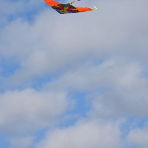 DSC_0272.JPG