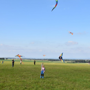 DSC_0276.JPG