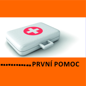 KURZ PRVNÍ POMOCI PRO PED. PRACOVNÍKY