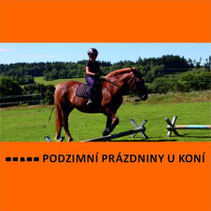 PODZIMNÍ PRÁZDNINY U KONÍ	